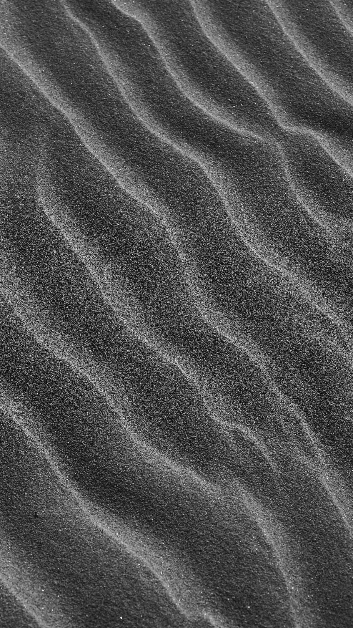 M1X detail